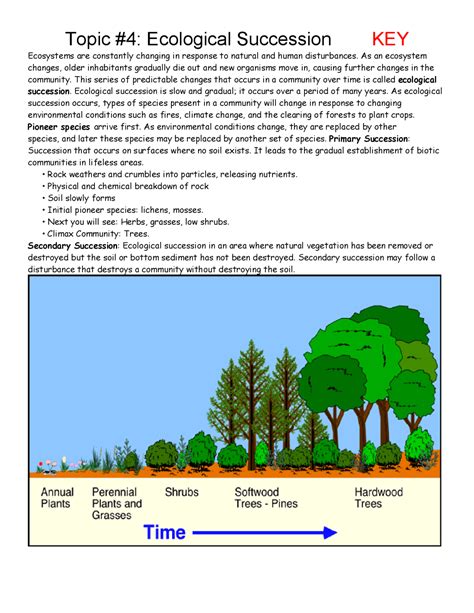 ecological succession readings and practice worksheet answer key